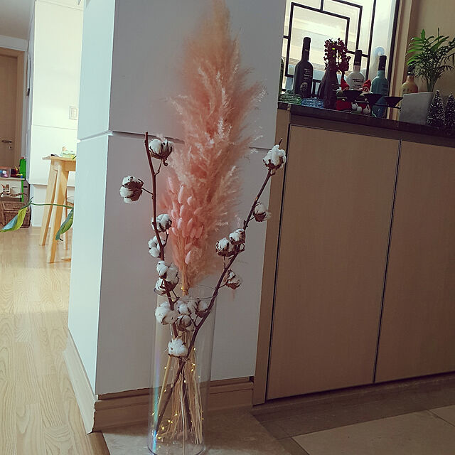 KAORIの-パンパスグラス　ピンクフェザー （ ピンク花 ） 10.5cmポット苗の家具・インテリア写真