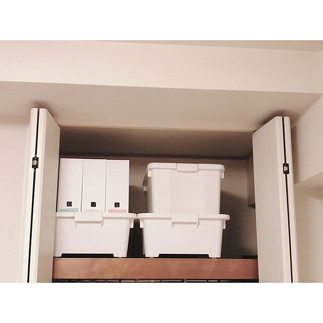 AUD1のJEJアステージ-収納ケース 収納ボックス 衣装ケース キャスター付き ベッド下収納 押し入れ収納 クローゼット(限定カラー カクス 55浅 コロ付)の家具・インテリア写真