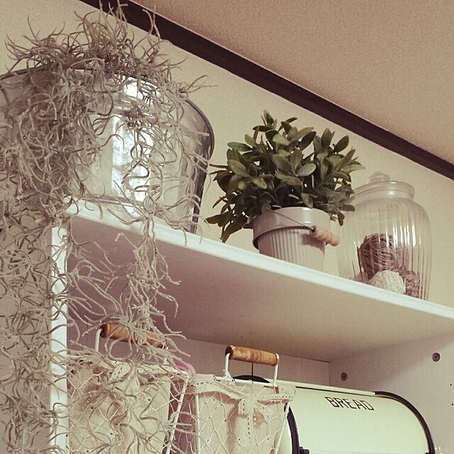 Ayamanのイケア-【IKEA】イケア通販【FEJKA】　造花鉢植え　人工観葉植物の家具・インテリア写真