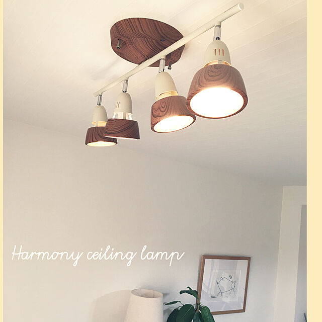 akezouの-Harmony-ceiling lamp /ハーモニー シーリング ランプ ART WORK STUDIO（アートワークスタジオ） 天井　照明　ライト　ランプ　スポット　調光 AW-0321の家具・インテリア写真