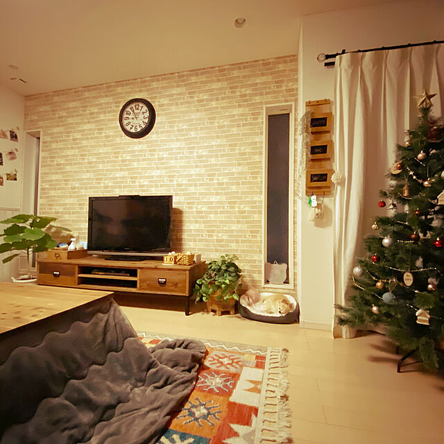 konomi513の-クリスマスツリー 150cm 北欧 おしゃれ 150 ドイツトウヒツリー ヌードツリー スリム オシャレ 高級クリスマスツリー オーナメントなし 飾りなし かわいい リアル 松ぼっくり 大型 大きめ インテリア アビエス Abies 北欧風 プレゼントの家具・インテリア写真
