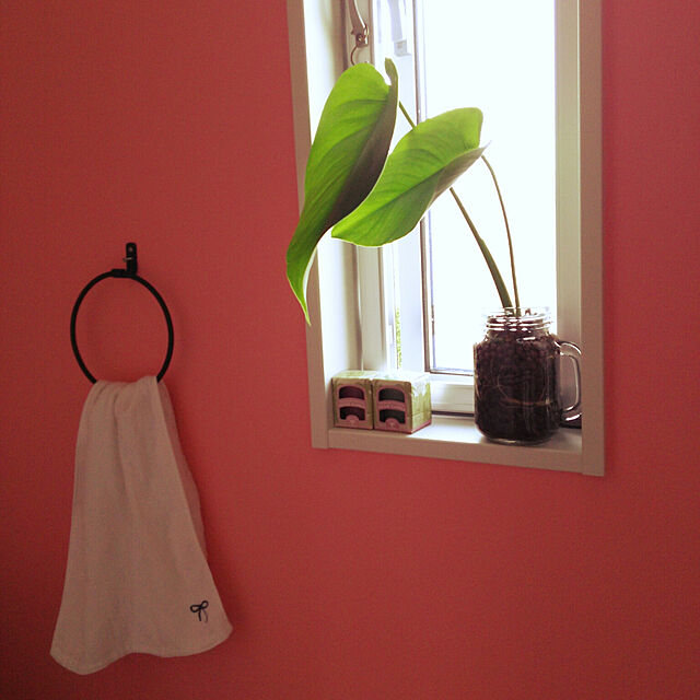 toiの-【メール便OK】 ピンク色のペンキ 《 水性塗料 》つや消し [ イマジンウォールペイント ( パウチ カラーサンプル ) pretty Girl プリティ・ガール 《 147 》 ]の家具・インテリア写真
