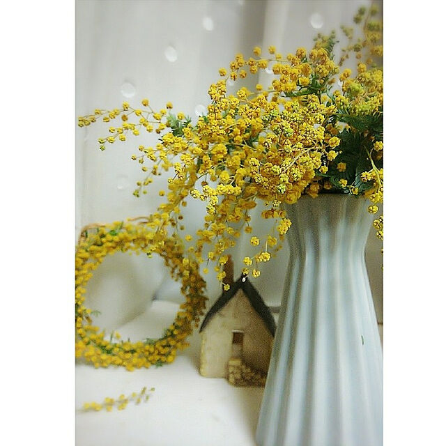 umiumiの-森のいただきもの ミモザ 生花 季節の枝物 リース 素材 スワッグ ドライフラワー 手作り ハンドメイドの家具・インテリア写真