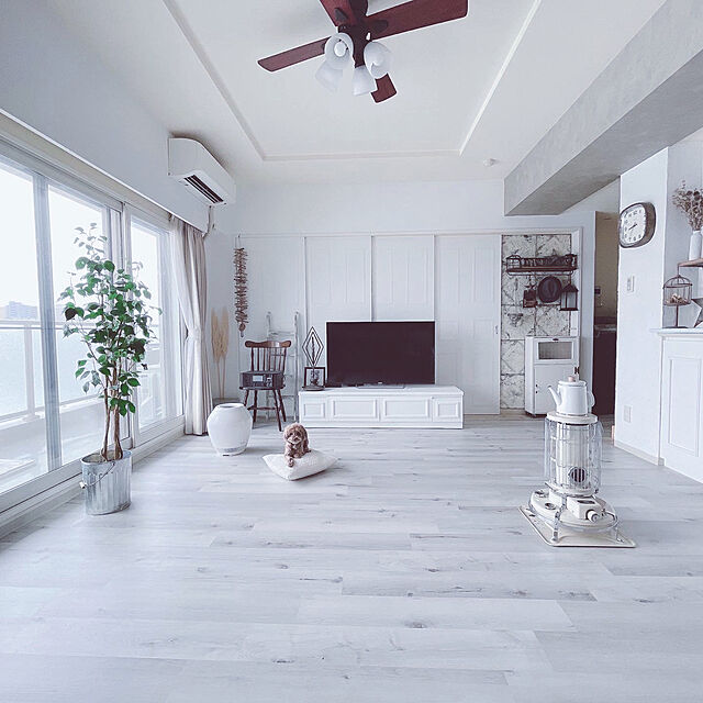 jewelのニッペホームプロダクツ-STYLE DIYペンキ 500ml スノウホワイト ニッペの家具・インテリア写真