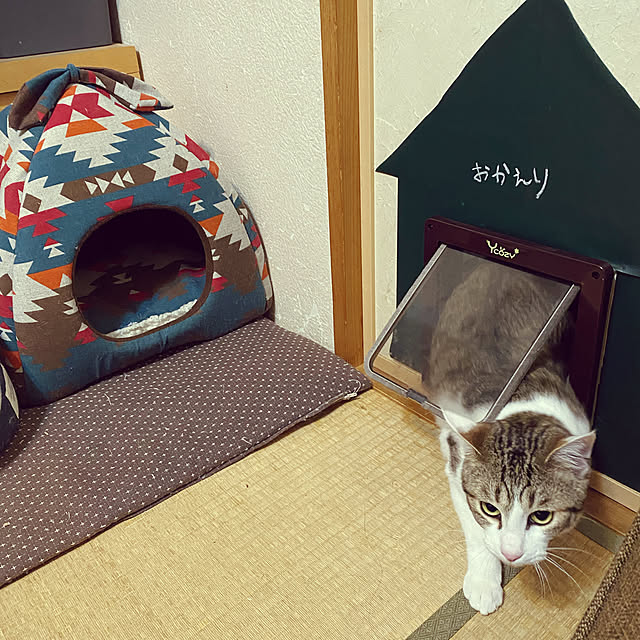 LufuのYcozy-Ycozy ペットドア 外寸25×23.5cm 猫 出入り口 小型犬用 ドア 猫扉 4-way切替 ロック キャットドア 室内用 取り付け簡単 冷暖房対策の家具・インテリア写真