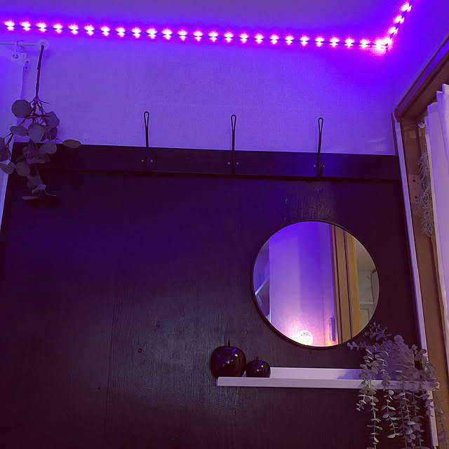 【写真付きレビュー】WenTop LEDテープライト ブルートゥース 5050RGB 15m 超長 ウルトラロング ライトスーツ 音楽 音声