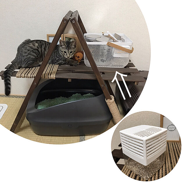 umeboshi08の-常陸化工 固まるオカラの猫砂 おからの猫砂 グリーン 6L 4袋 猫砂 猫用 猫用トイレ 猫のトイレ ねこ砂 おから オカラ トイレに流せる『送料無料（一部地域除く）』の家具・インテリア写真