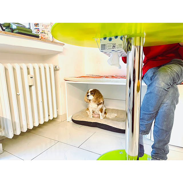 写真付きレビュー】IKEA (イケア) SMASTAD スモースタード ベンチ