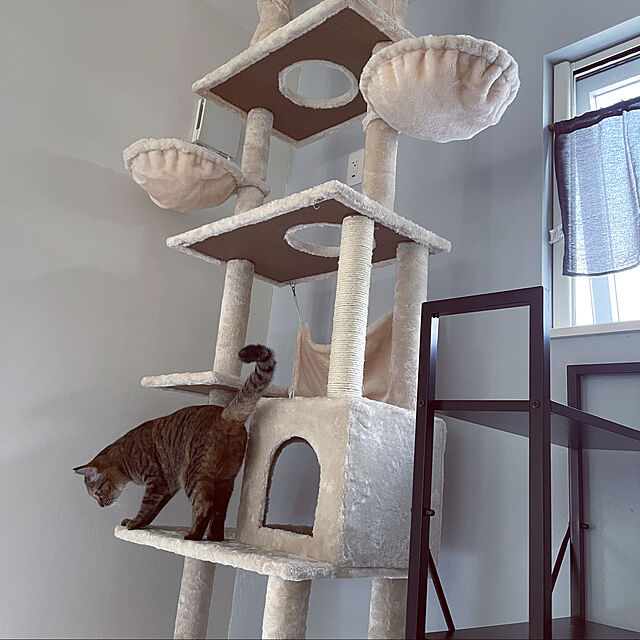 jijicoのOSJ-キャットタワー 突っ張り スリム 猫タワー おしゃれ 全高235-258cm 爪とぎ つっぱり 多頭飼い 麻紐 猫用品の家具・インテリア写真