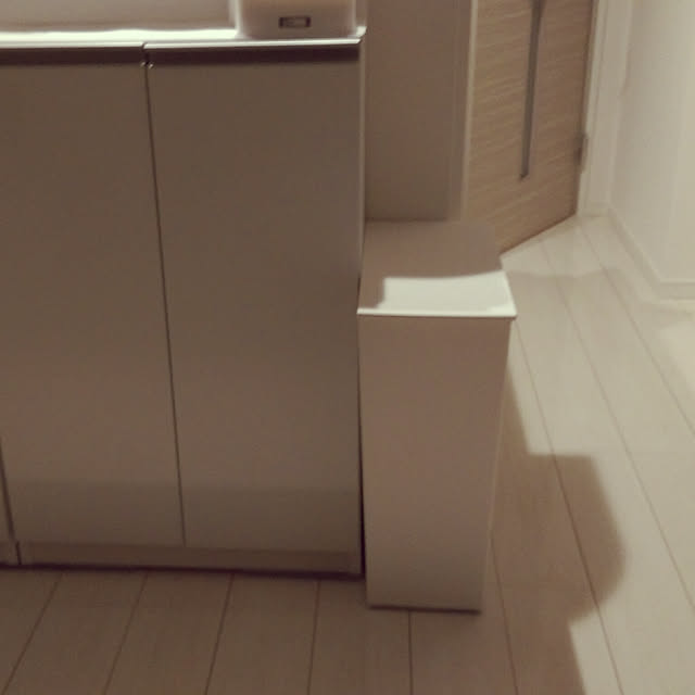 arikaの岩谷マテリアル-I'mD(アイムディ) ゴミ箱 クード シンプル スリム (36L, グレー)の家具・インテリア写真