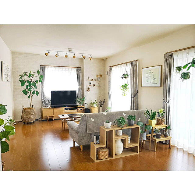 nyancoのVORNADO-ボルネード610DC2-JPエナジースマートサーキュレーター　30畳まで対応の家具・インテリア写真