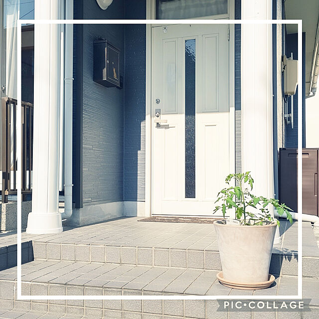+CHIHARU+の不二貿易-玄関マット ドアマット 野外用玄関マット マット ネコ柄 猫の家具・インテリア写真