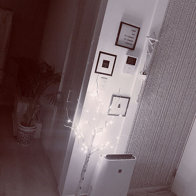 Eriのニトリ-ひものれん(ヒモノレン カーリー 85X220)  『1年保証』 『玄関先迄納品』の家具・インテリア写真
