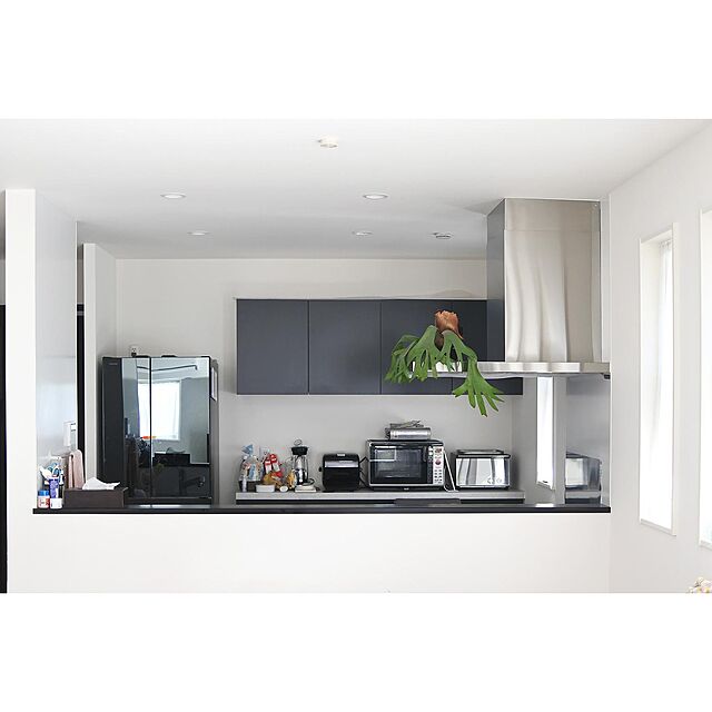 takaayaのツインバード工業-ツインバード ミラーガラスオーブントースター ブラック TS-D048B(1台)【ツインバード(TWINBIRD)】の家具・インテリア写真