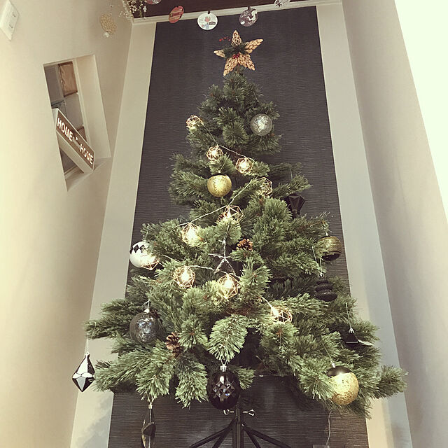 mikechoの-【10%OFFクーポンあり】クリスマスツリー 120cm 北欧 おしゃれ 120 ドイツトウヒツリー ヌードツリー スリム オシャレ 高級クリスマスツリー オーナメントなし 飾りなし かわいい リアル 松ぼっくり 小さめ インテリア アビエス Abies 北欧風 プレゼントの家具・インテリア写真