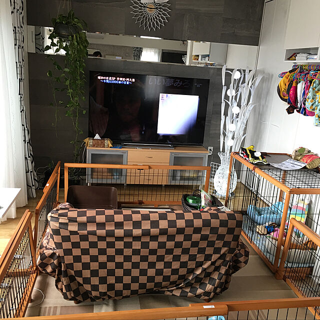 Masatoの明和グラビア-明和グラビア ラグ ブラウン 200cm×250cmの家具・インテリア写真
