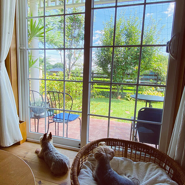 misacoの-ラタン ペットカドラー GK131MER サンフラワーラタンの家具・インテリア写真