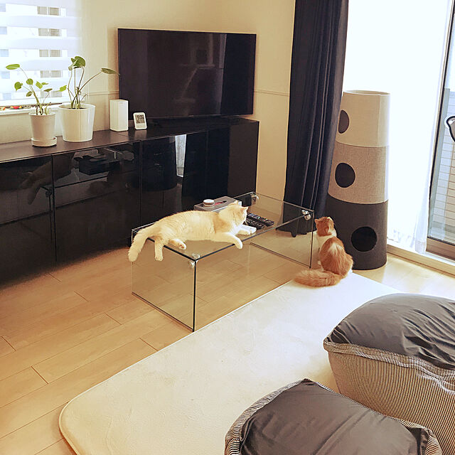 H.Tのイケア-【IKEA -イケア-】SLATTIS -スロッティス- クロック 湿度計/温度計付き ホワイト 8x12 cm (103.163.77)の家具・インテリア写真