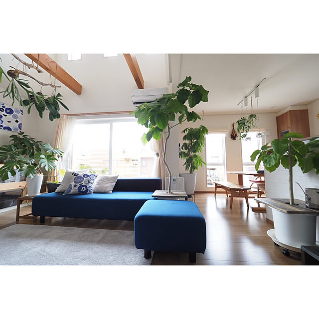 a_tankoの弘益-ミニテーブル プランツテーブル PLT Plants Table 45cm プランター 植木鉢 鉢植え 観葉植物 インテリア コーヒーテーブル 天然木 ウッドの家具・インテリア写真