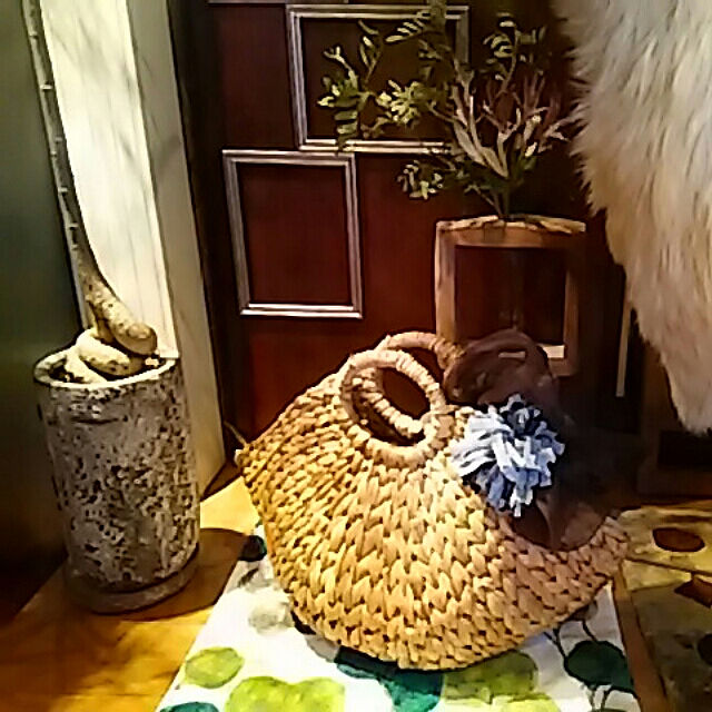 spinetailの-観葉植物：ブラキキトン ルペストリス　ボトルツリー*陶器鉢　受け皿付　ヴューシリンダーの家具・インテリア写真