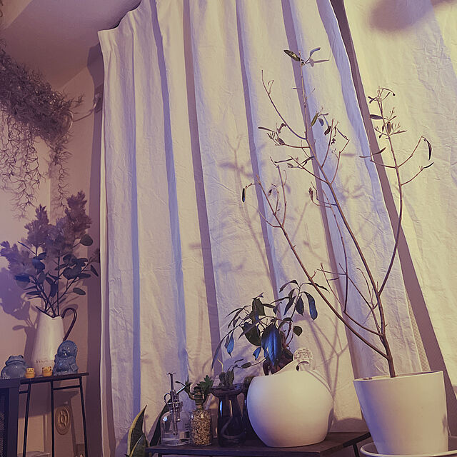 nyaaa_chanの-しあわせを呼ぶ縁起もの信楽焼の青い動物の会 フェリシモ FELISSIMOの家具・インテリア写真