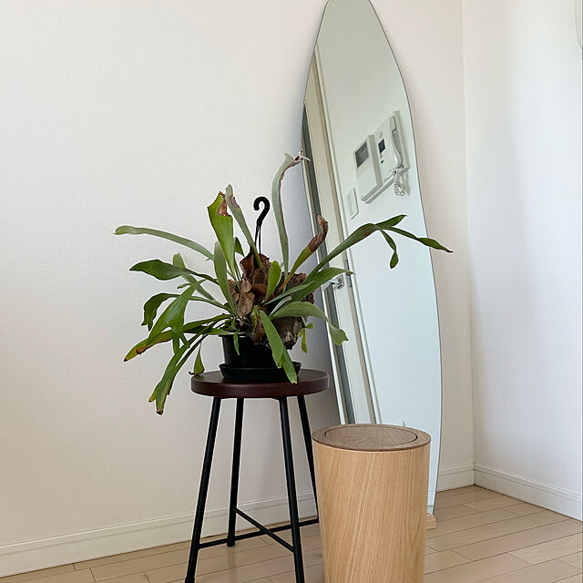 fuの-スツール 丸 椅子 木製 アイアン おしゃれ 観葉植物 ms-42の家具・インテリア写真