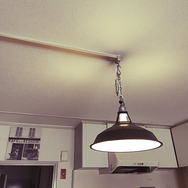 spitznyaの-照明 ペンダントライト Fisherman’s pendant（L）フィッシャーマンズペンダント（L）SS-8038 アートワークスタジオの家具・インテリア写真