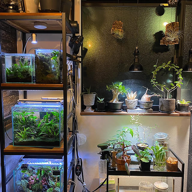 HaruDesign 植物育成LEDライト HASU38 spec9 6K 白色系