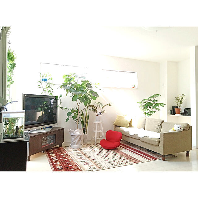 aquaの-mokuシリーズ 『木製フラワースタンド ハイラウンド』 ホワイト 幅28×奥行28×高さ55cm 丸型 アンティーク 木製 家具 雑貨 ラック ダメージ 素朴 フラワースタンド 花 置き 鉢置きの家具・インテリア写真