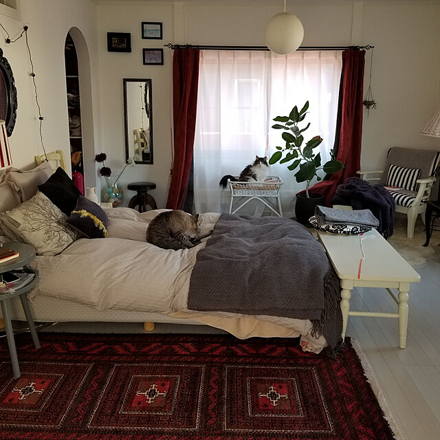 neoのニトリ-枕カバー セミロングサイズ(Nホテル LMO) の家具・インテリア写真