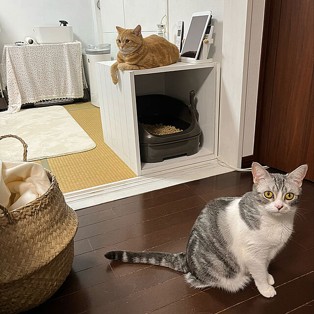 Atelier.mの花王-ニャンとも清潔トイレセット [約1か月分チップ・シート付] 猫用トイレ本体 オープンタイプ ブラウンの家具・インテリア写真