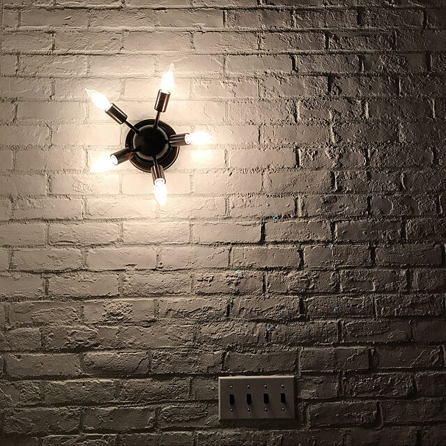s__cubeの-ブラケットライト & スタンドライト [SPARK WALL LAMP：スパーク ウォール ランプ] 5灯 おしゃれ 照明 ライト LED対応 西海岸 ビンテージ リビング ダイニング 卓上 フロア 棚上 スチール ビンテージ アメリカン レトロ ミッドセンチュリー HERMOSA ハモサ LED対応(CP4(PX10の家具・インテリア写真