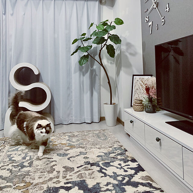 Micccaの-テレビ台 テレビボード 180cm 白 ホワイト 真鍮 ローボード おしゃれ ナチュラル モダン 収納 引き出し タップ収納 TVボード 日本製 ロウヤ LOWYAの家具・インテリア写真