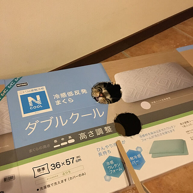 shigimiのニトリ-冷感低反発まくら(ダブルクール2) の家具・インテリア写真