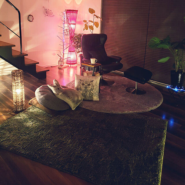 zenoのニトリ-クッションカバー(フクロウ T) の家具・インテリア写真
