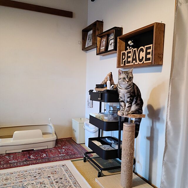 lovepeaceの東谷-東谷 ダストボックス RSD-73WHの家具・インテリア写真