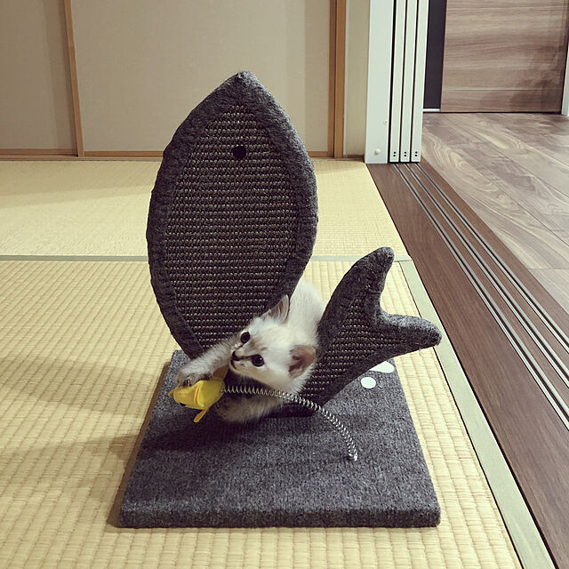 kuruの-Delxo つめとぎ ネコ用品 爪とぎ 高密度ダンボール 猫ペット 寝床 爪研ぎ ストレス解消 ペット用 猫用 (魚型)の家具・インテリア写真