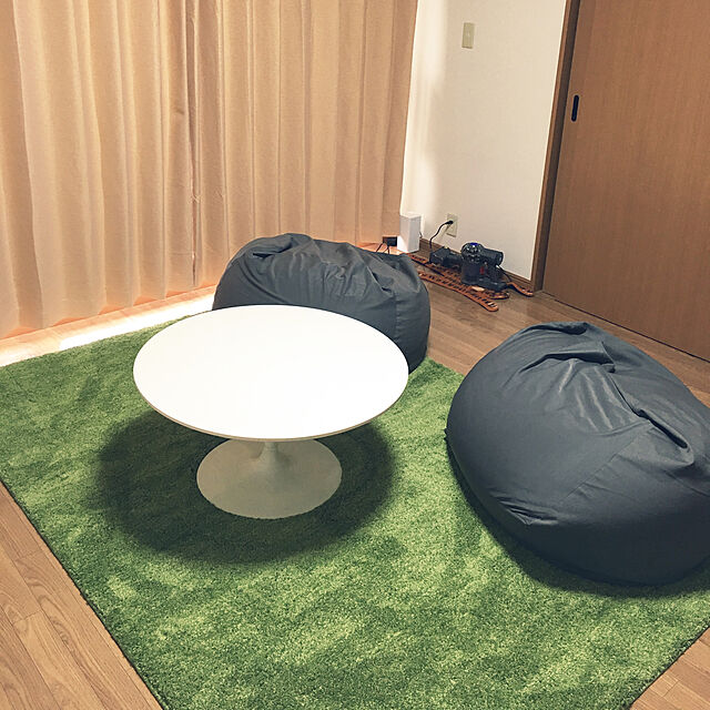 akiraのニトリ-アクセントラグ(SシャギーGR 160X230) の家具・インテリア写真