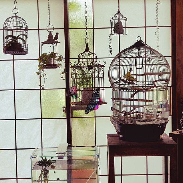 sanの-イタリアferplast社製バリアンティークブラス鳥かごの家具・インテリア写真