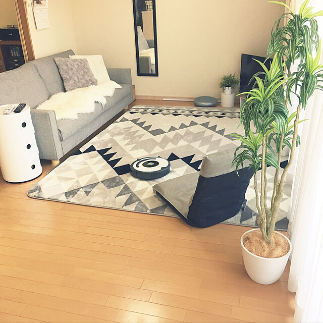neneのニトリ-リラックス バランスクッション(GM-17A) の家具・インテリア写真