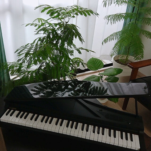 yukaのKORG(コルグ)-KORG MICROPIANO マイクロピアノ ミニ鍵盤61鍵 ブラック 61曲のデモソング内蔵 自動演奏可能の家具・インテリア写真