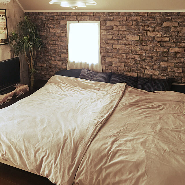 sakiのニトリ-セミダブルフラットベッドフレーム(パック NA-S) の家具・インテリア写真