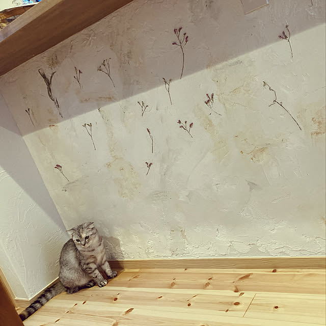 kawazaka48のオンザウォール-オンザウォール 内外装用デザイン塗り壁 アーキスタッコ 5kgの家具・インテリア写真