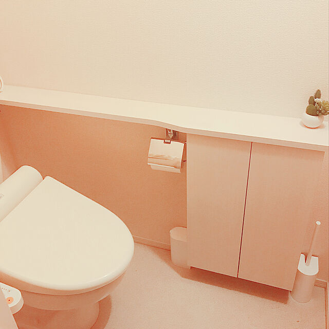 tomoのニトリ-ＳＬＩＭ トイレブラシ(WH) の家具・インテリア写真