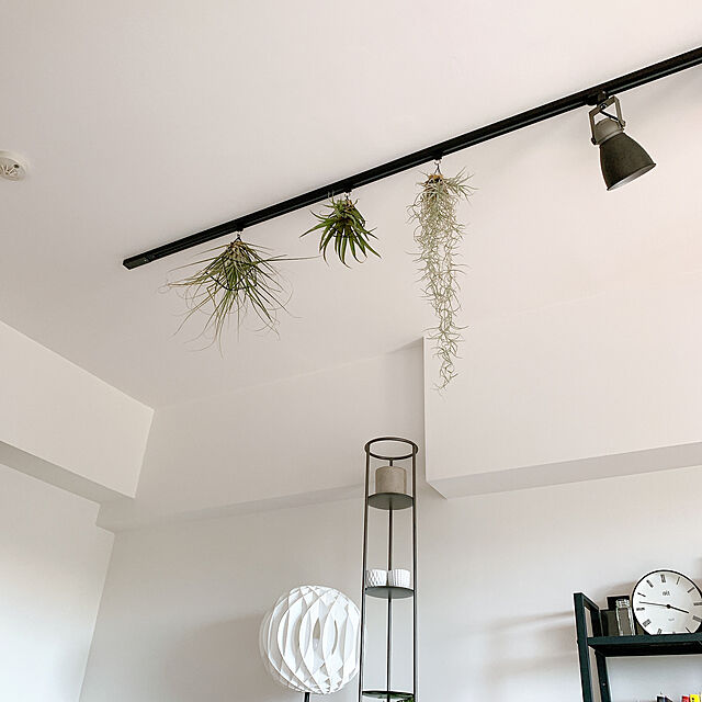 Kurehaのオーデリック-LD8543BT オーデリック ライティングレール吊りフックの家具・インテリア写真
