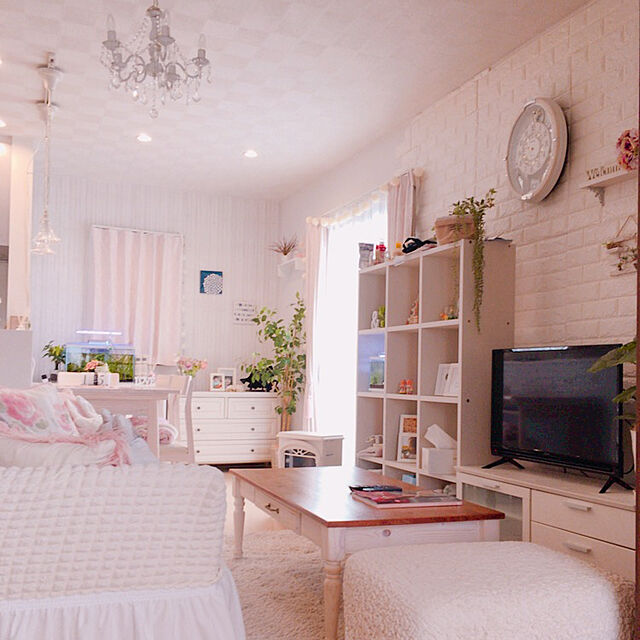 Phansaのニトリ-レースカーテン(ルトロ 100X176X2) の家具・インテリア写真