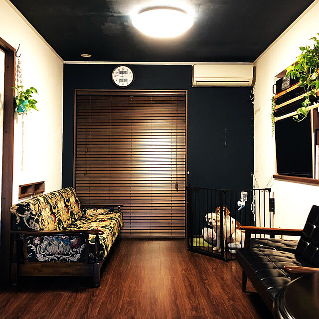 IZUMIのカリモク(karimoku)-カリモク ソファベッド/コロニアル ソファーベッド 張地カラー:QK)グリーンの家具・インテリア写真