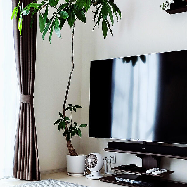 pakikiのハイセンスジャパン-ハイセンス 65V型 4Kチューナー内蔵 液晶 テレビ 65U7F ネット動画対応 3年保証の家具・インテリア写真