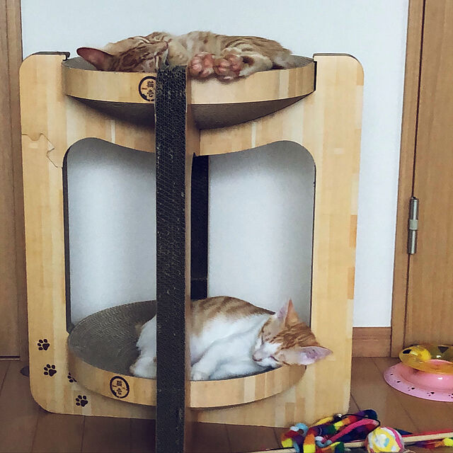 nnmmの猫壱-猫壱 バリバリボウルタワー (レギュラー, ライトブラウン)の家具・インテリア写真