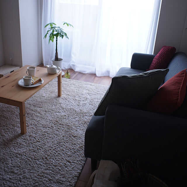 kappaのニトリ-アクセントラグ(SシャギーBE 140X200) の家具・インテリア写真